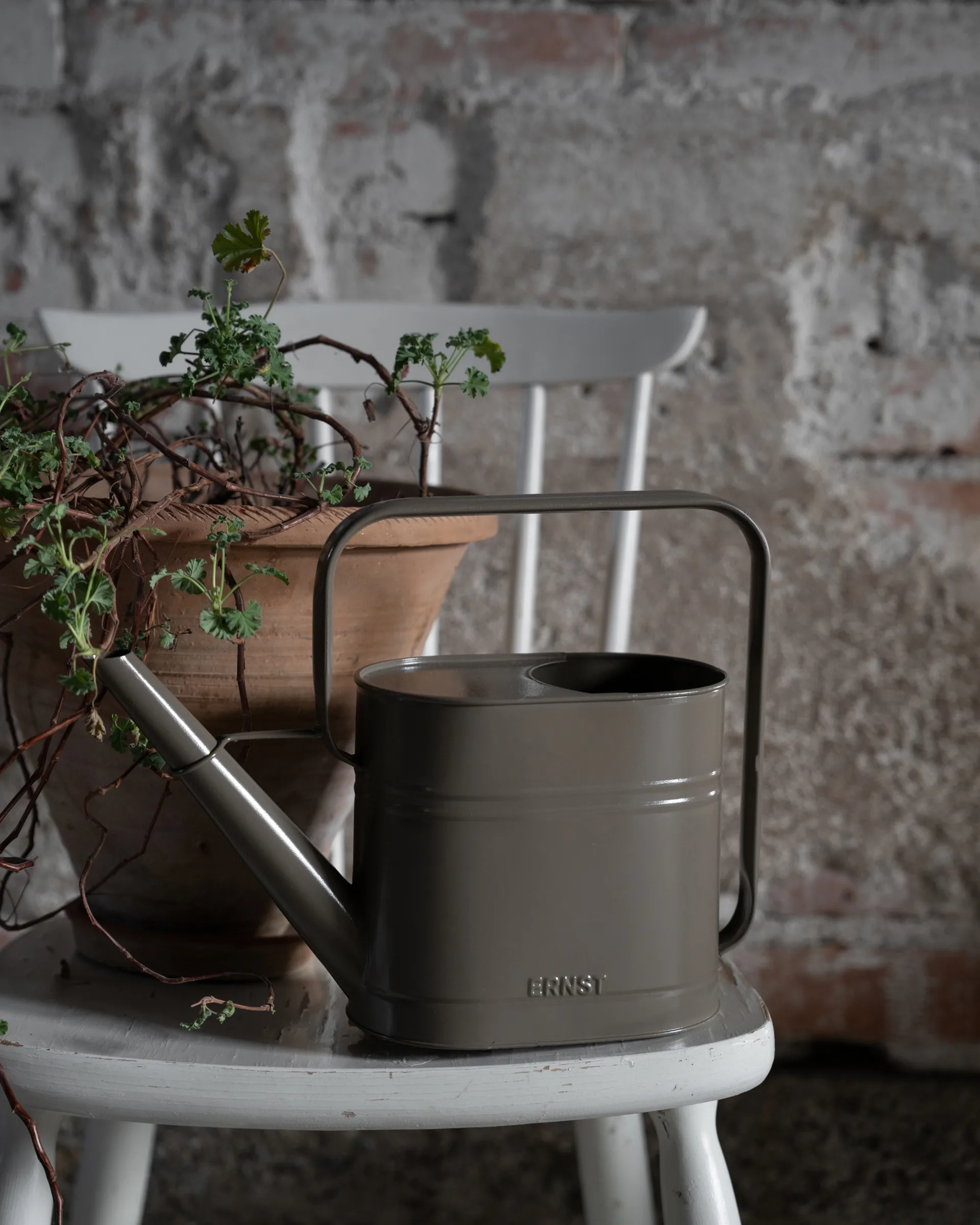 Ernst Wasserkanne, Mullvad, 3 L ERNST