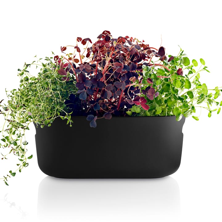 Eva Solo  herb organiser selbstbewässernd, Schwarz Eva Solo