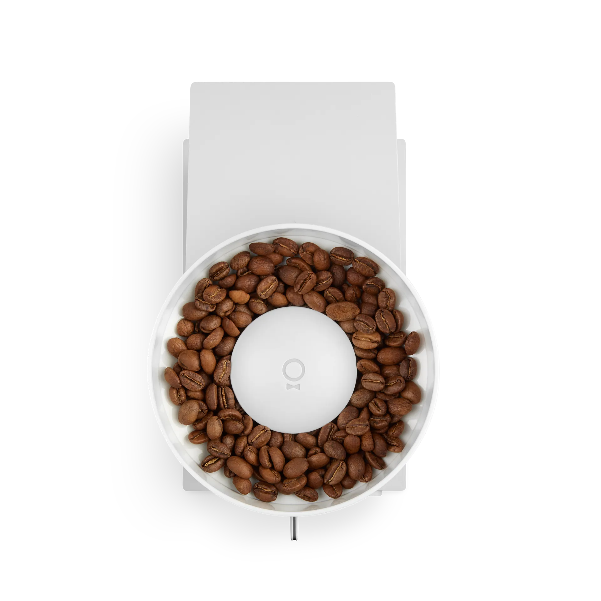Opus Conical Burr elektrische Kaffeemühle, Weiß Fellow