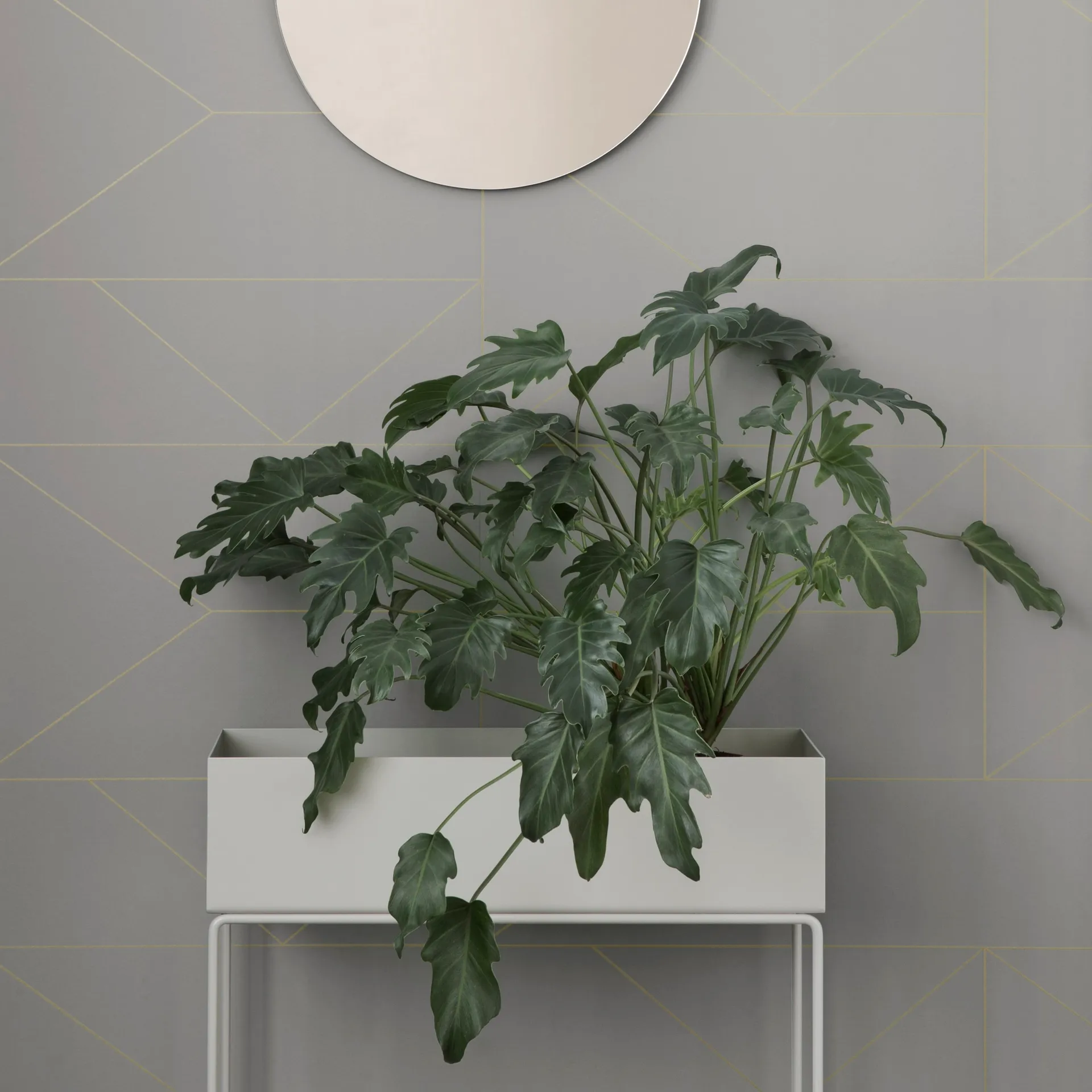 ferm LIVING Plant Box, Grau Ferm Living