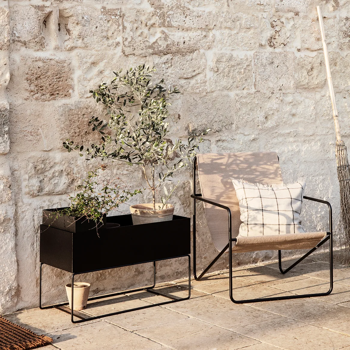 olivenbaum kaufen balkon Olea Europaea Olivenbaum auf Stamm 19cm 90cm kaufen