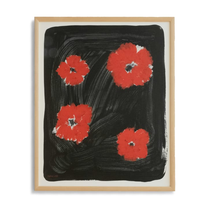 Scarlet pimpernel Poster 40 x 50cm, Rot -schwarz Fine Little Day