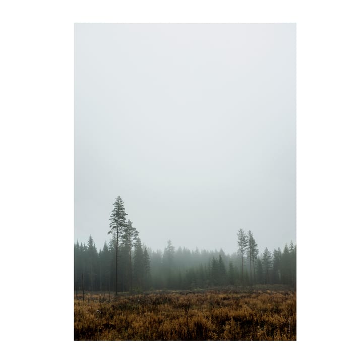 Skog Poster - 70 x 100cm - Fine Little Day