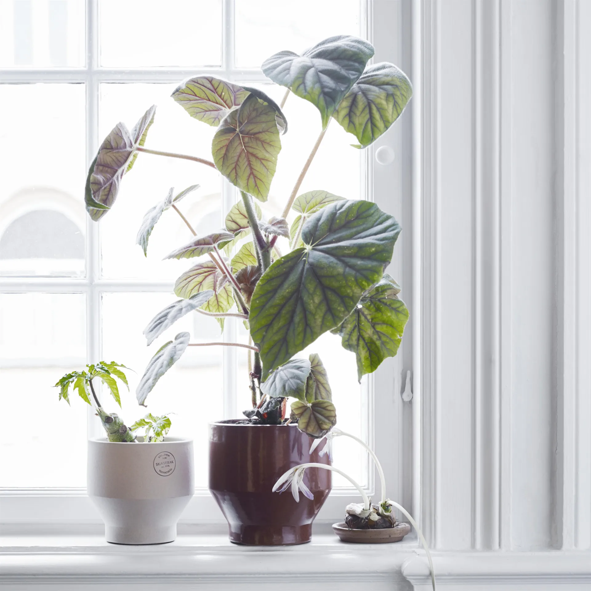 Edge Blumentopf (Indoor) Ø18 cm, Burned red Fritz Hansen