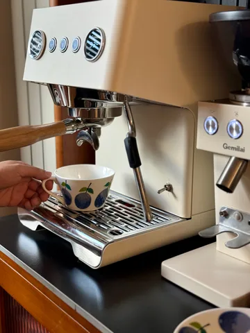 Prunus Teetasse mit Untertasse Ø15,3 cm - 25 cl - Gustafsbergs Porslinsfabrik