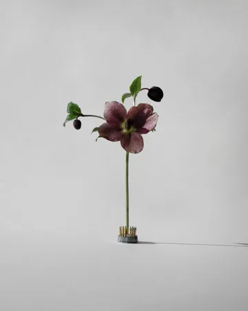 Kenzan Blumenigel - Ø2,3 cm - Hein Studio