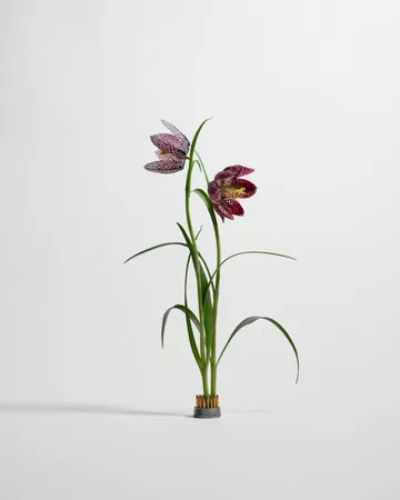 Kenzan Blumenigel - Ø2,3 cm - Hein Studio