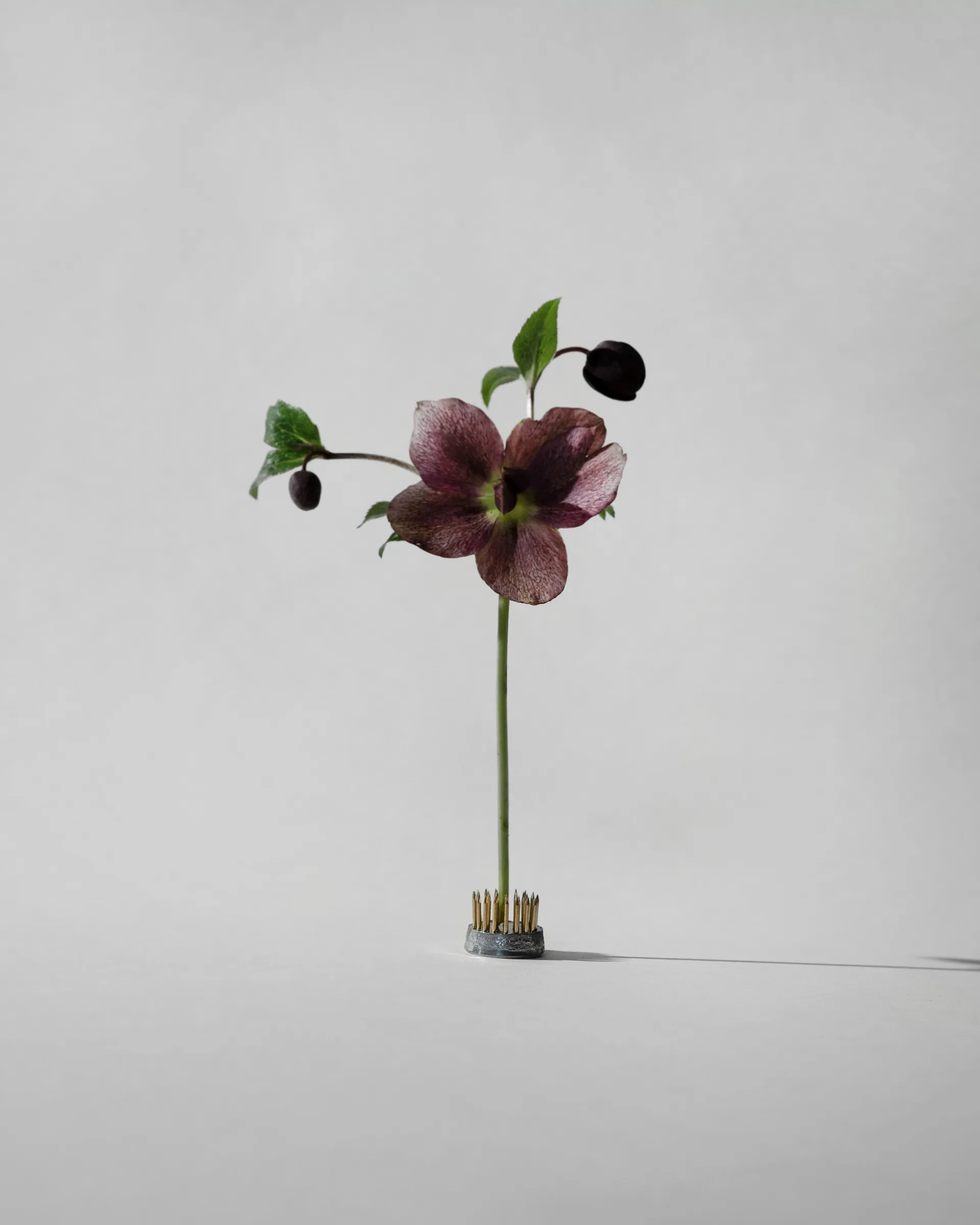 Kenzan Vase, Ø2,3 cm Hein Studio
