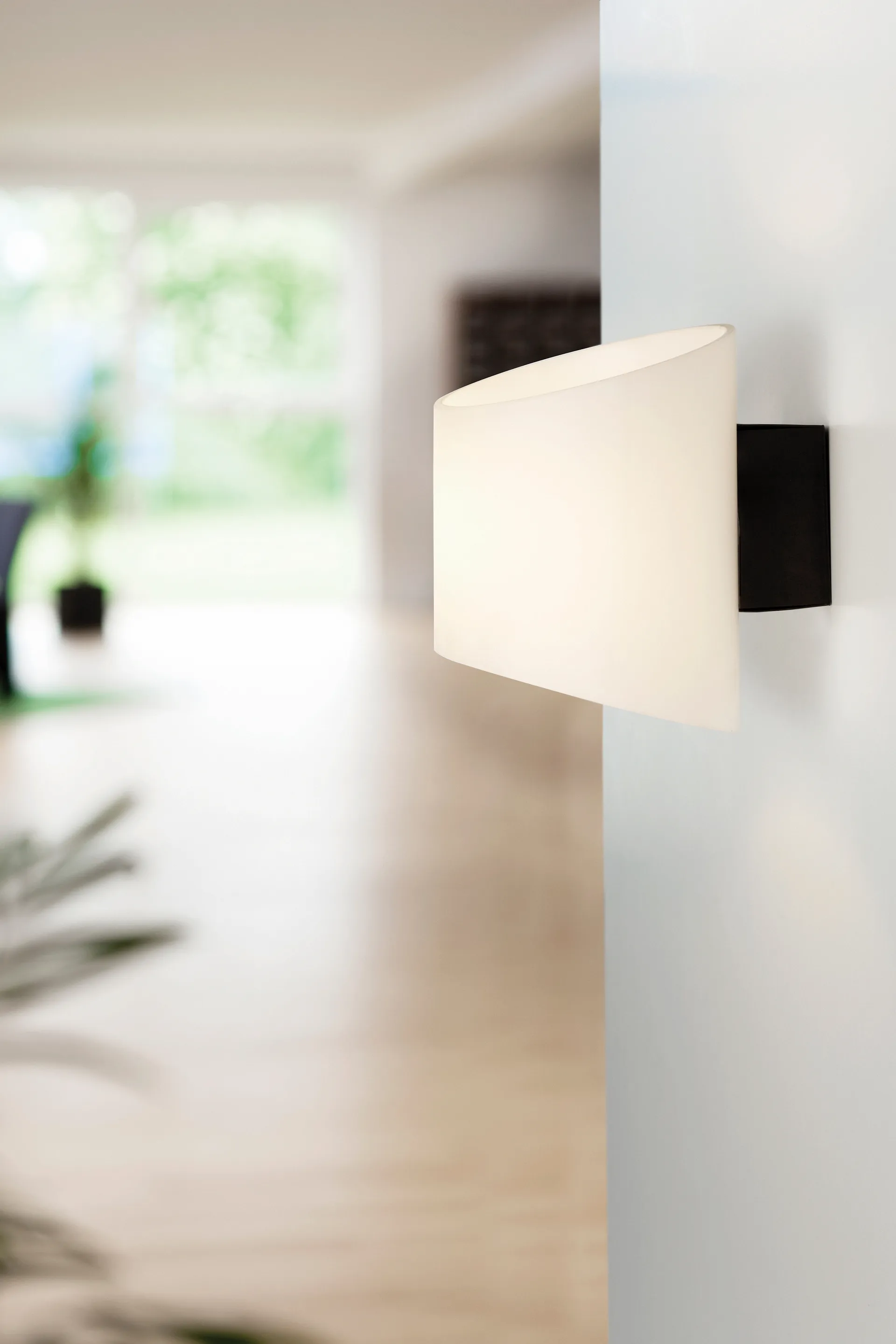 Evoke Wandleuchte oval, Antrazit-Opalglas Herstal