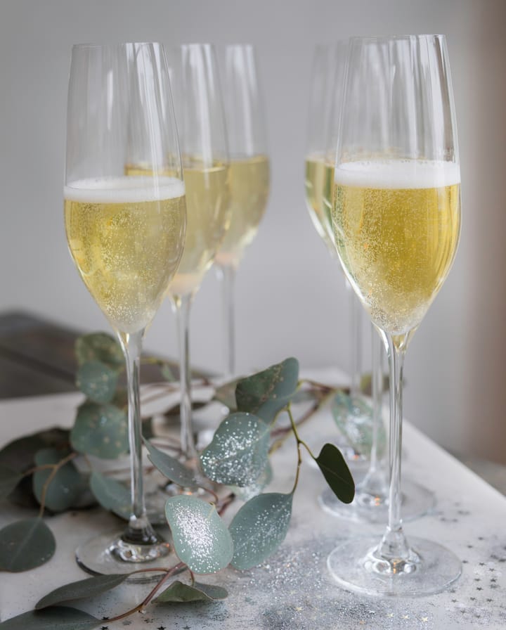 Cabernet Champagnerglas 29 cl 6er-Pack, Transparent Holmegaard