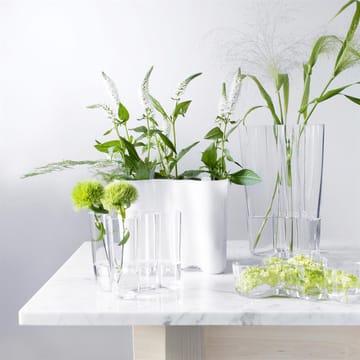 Alvar Aalto Vase Geschenkset - Klar - Iittala