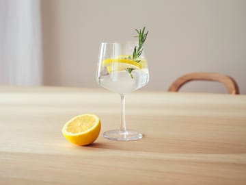 Essence Gin & Cocktailglas 2er Pack - 63cl - Iittala