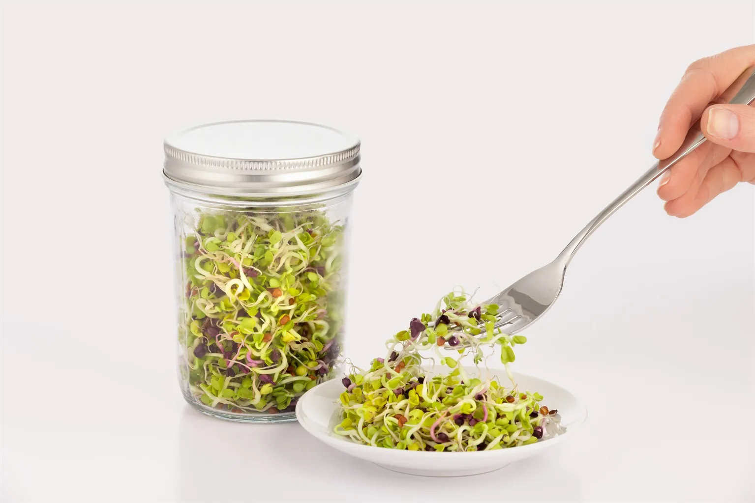 Kilner Keimset, Klar-weiß, 500 ml Kilner