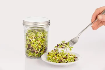 Kilner Keimset - Klar-weiß, 500 ml - Kilner