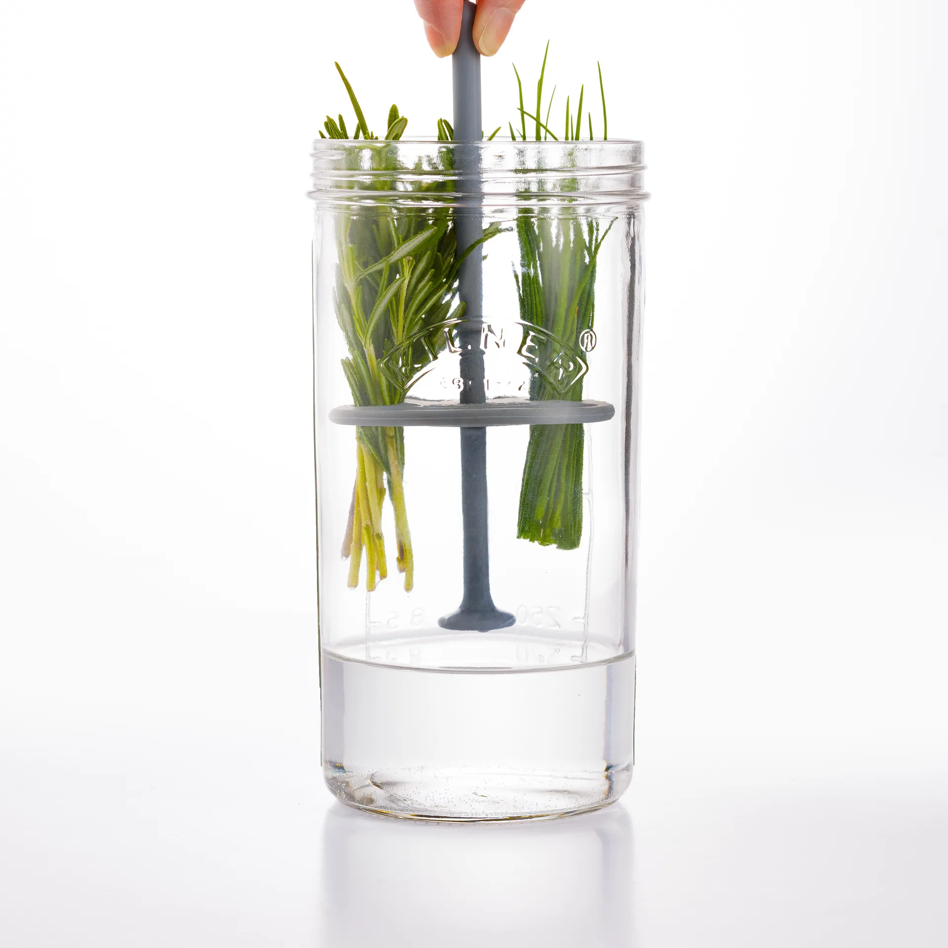 Kilner Kräuteraufbewahrung, Klar Kilner