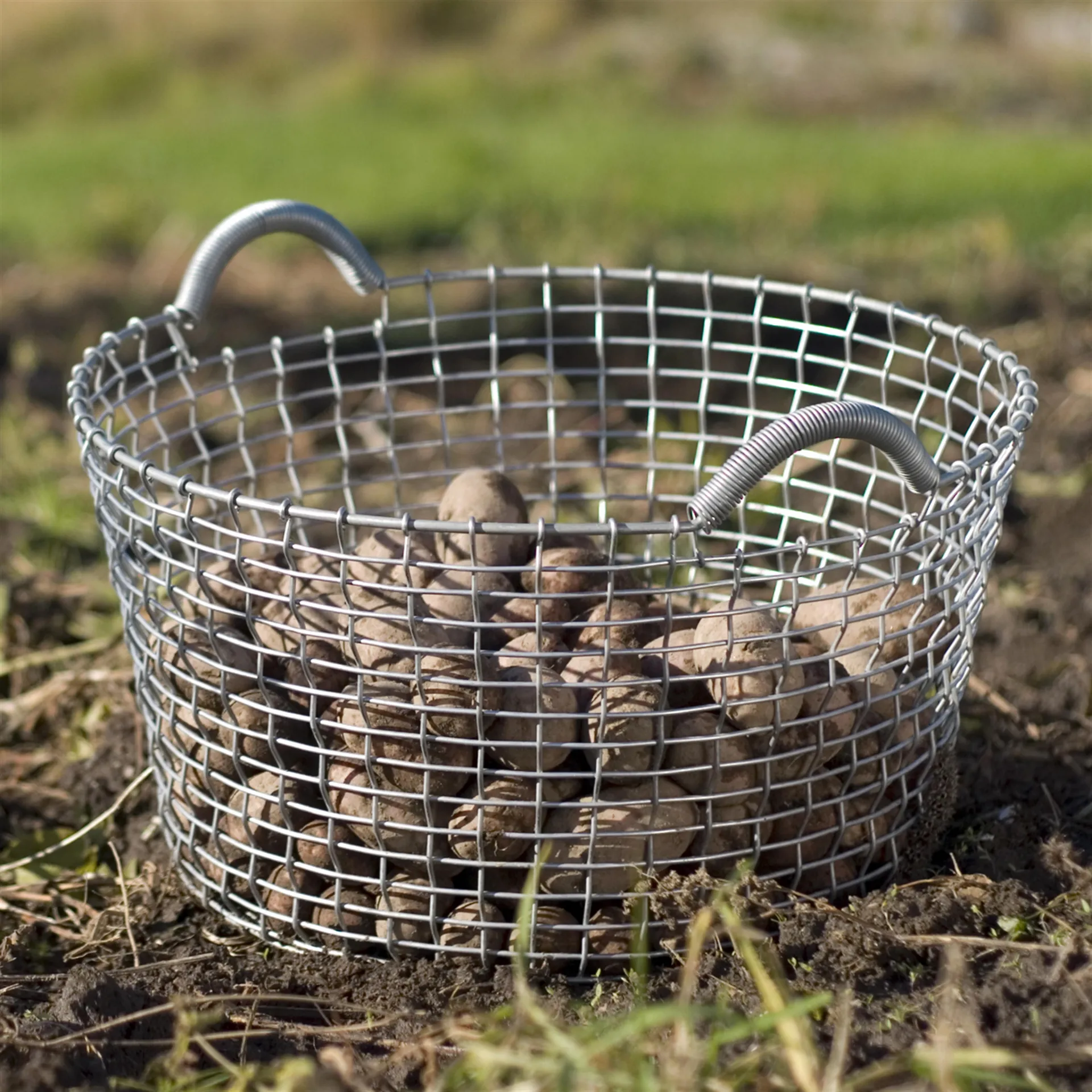 Korbo Classic 35, Verzinkter Stahl KORBO