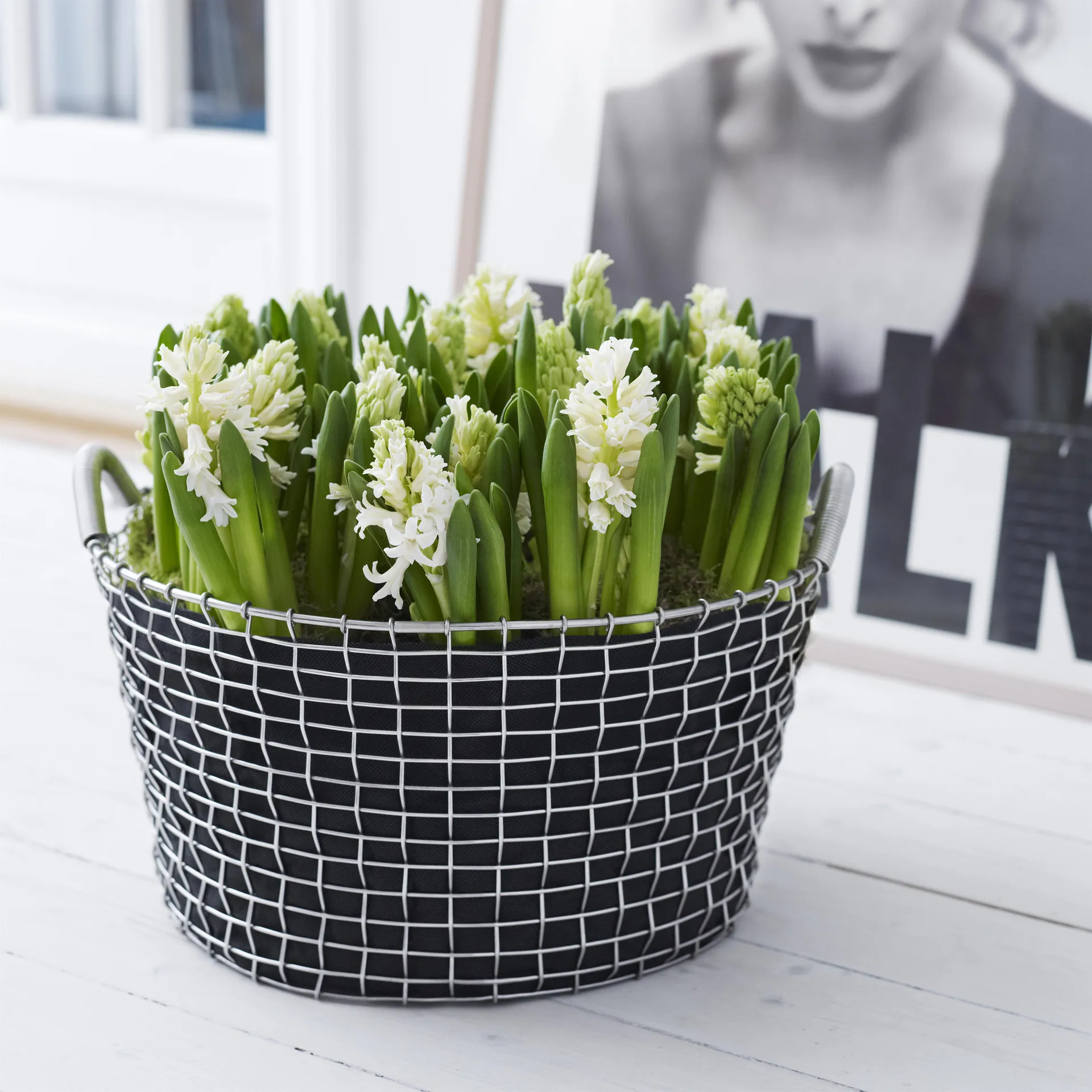 Korbo Classic 35, Verzinkter Stahl KORBO