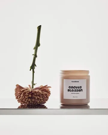 Mind Duftkerze - Cactus Blossom, 330 g - Kosta Boda