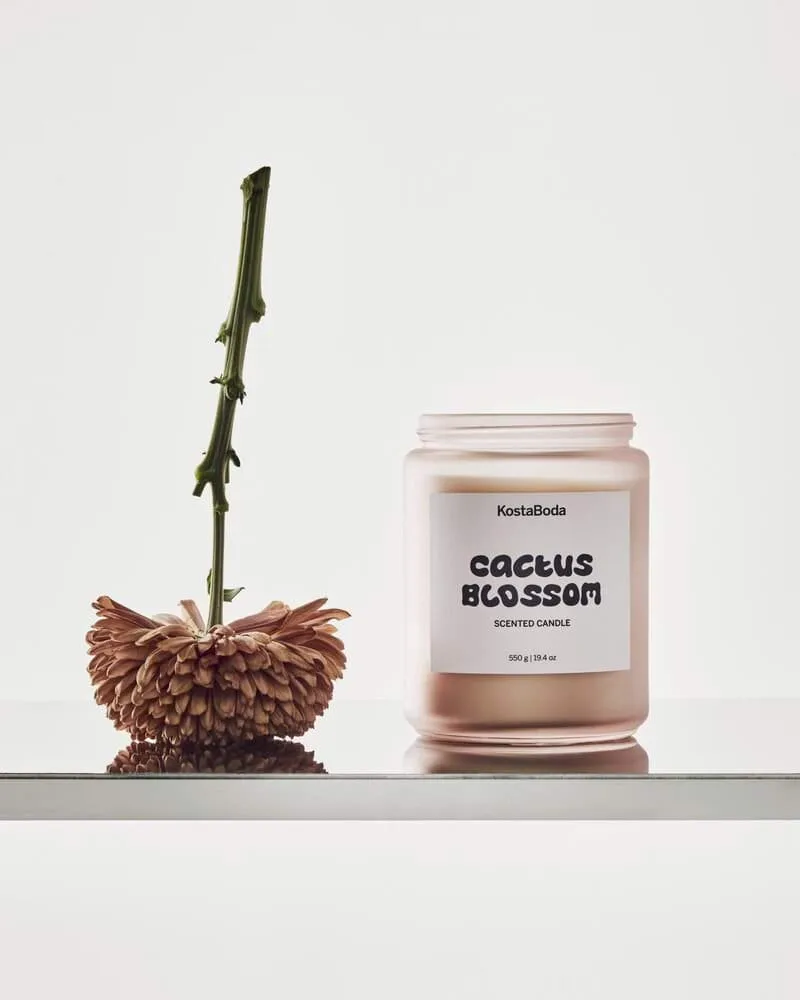 Mind Duftkerze, Cactus Blossom, 550 g Kosta Boda