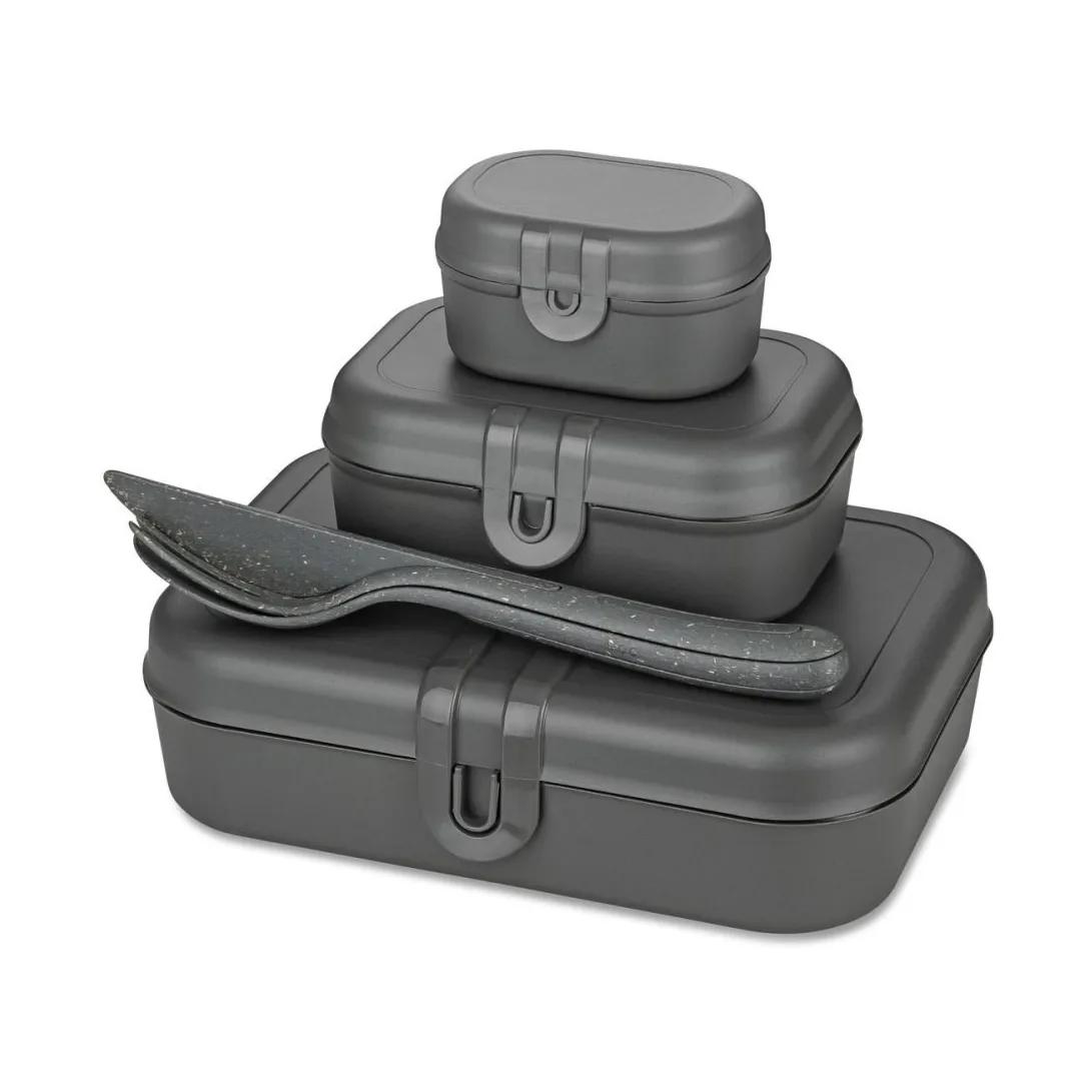 Pascal Ready Set 3 x Lunchbox und Besteck, Nature ash grey Koziol