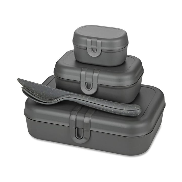 Pascal Ready Set 3 x  Lunchbox und Besteck, Nature ash grey Koziol