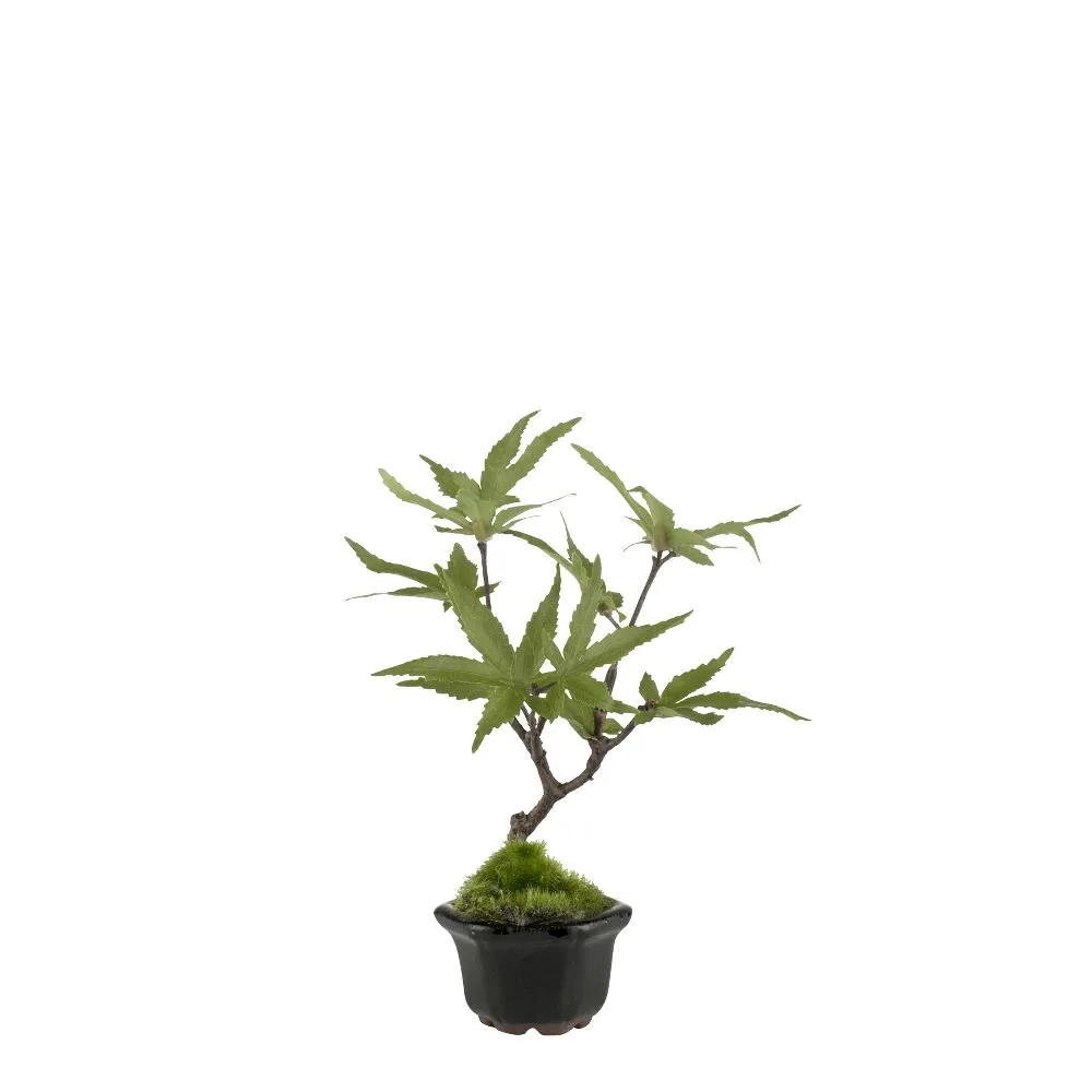 Flora Maple, 16 cm Lene Bjerre