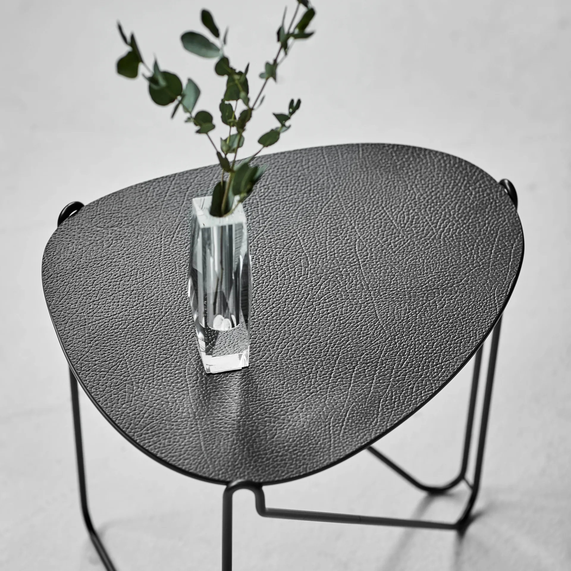 Curve Chameleon Hippo Beistelltisch, Black-anthracite LIND DNA