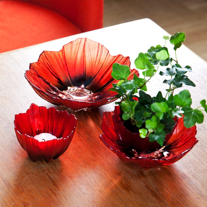 Poppy Windlicht, Rot -schwarz Målerås Glasbruk