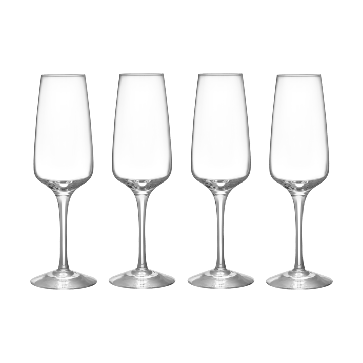 Pulse Champagnerglas 28 cl 4er Pack, Klar Orrefors