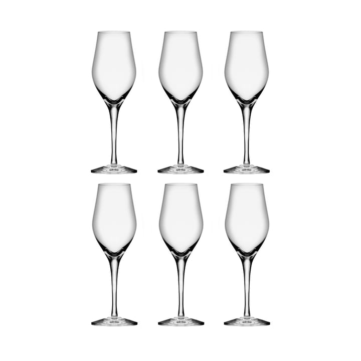 Sense Champagnerglas 25,5 cl 6er Pack, Klar Orrefors