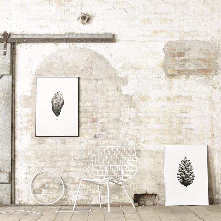 1:1 Pine Cone Poster, Weiß, 50 x 70cm Paper Collective