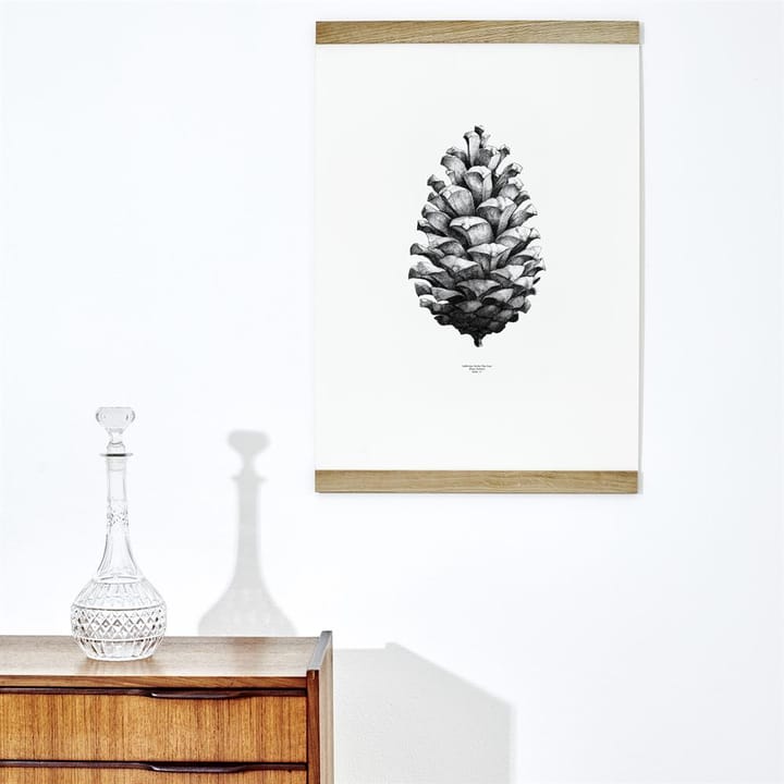 1:1 Pine Cone Poster, Weiß, 50 x 70cm Paper Collective