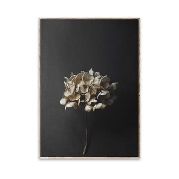 Still Life 04 Hydrangea Poster - 30 x 40cm - Paper Collective