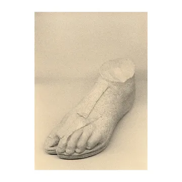 The Foot Poster - 30 x 40cm - Paper Collective