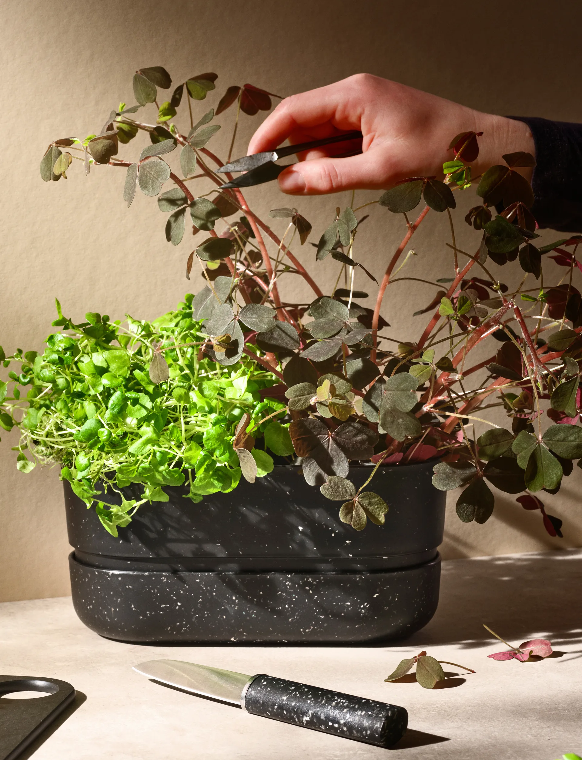 REDO Schälmesser 18,8 cm, Black RIG-TIG