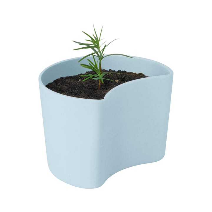 YOUR TREE Blumentopf mit Samen, Blau (Tall) RIG-TIG