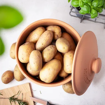 Römertopf Kartoffeltopf - Terrakotta - Römertopf