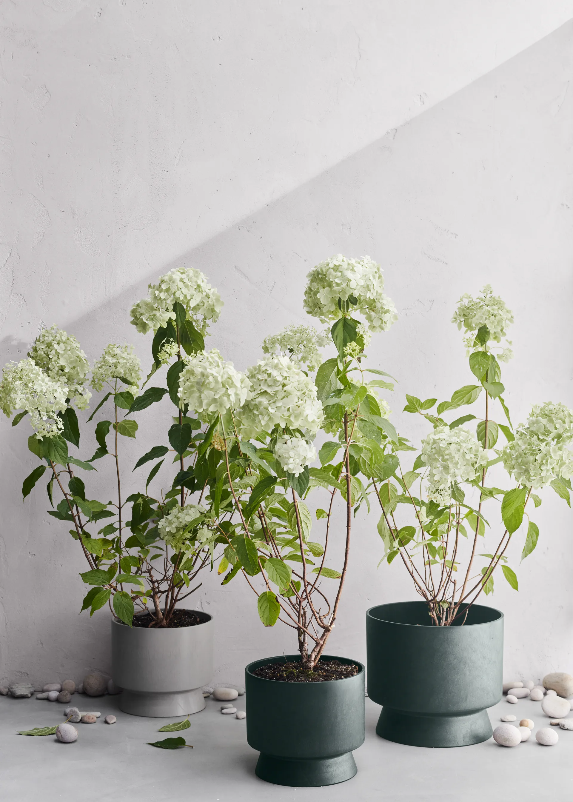 Ro Blumentopf Ø30cm, Dunkelgrün-Kunststoff Rosendahl