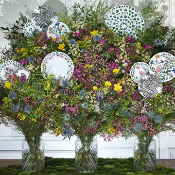 Magic Garden Foliage Teller 21cm - Weiß-grün - Rosenthal