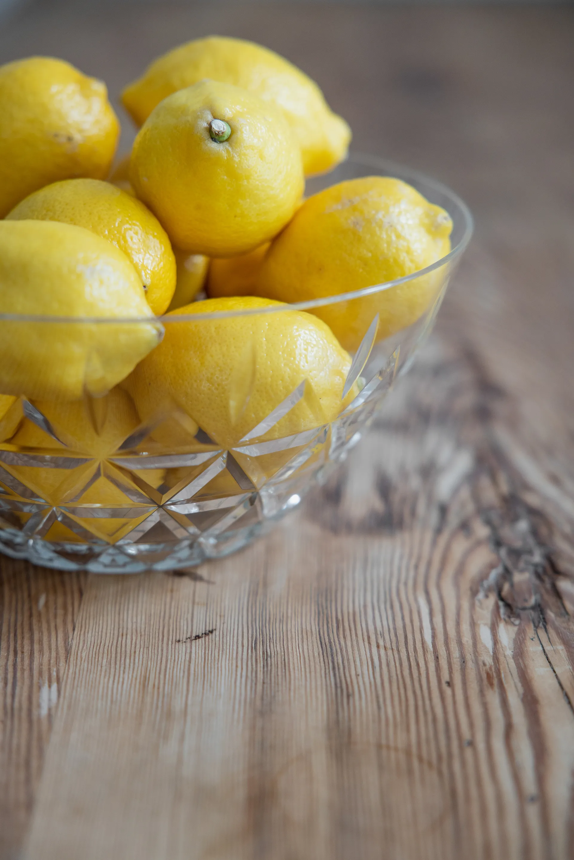 Picknick Schale Ø26cm , Klar Sagaform