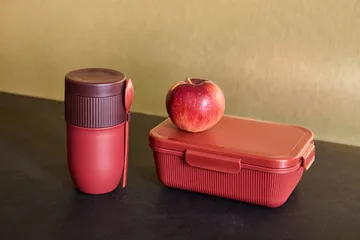Ted Thermos-Joghurtbecher mit Löffel - Weinrot Pantone 7624C, 32 cl - Sagaform