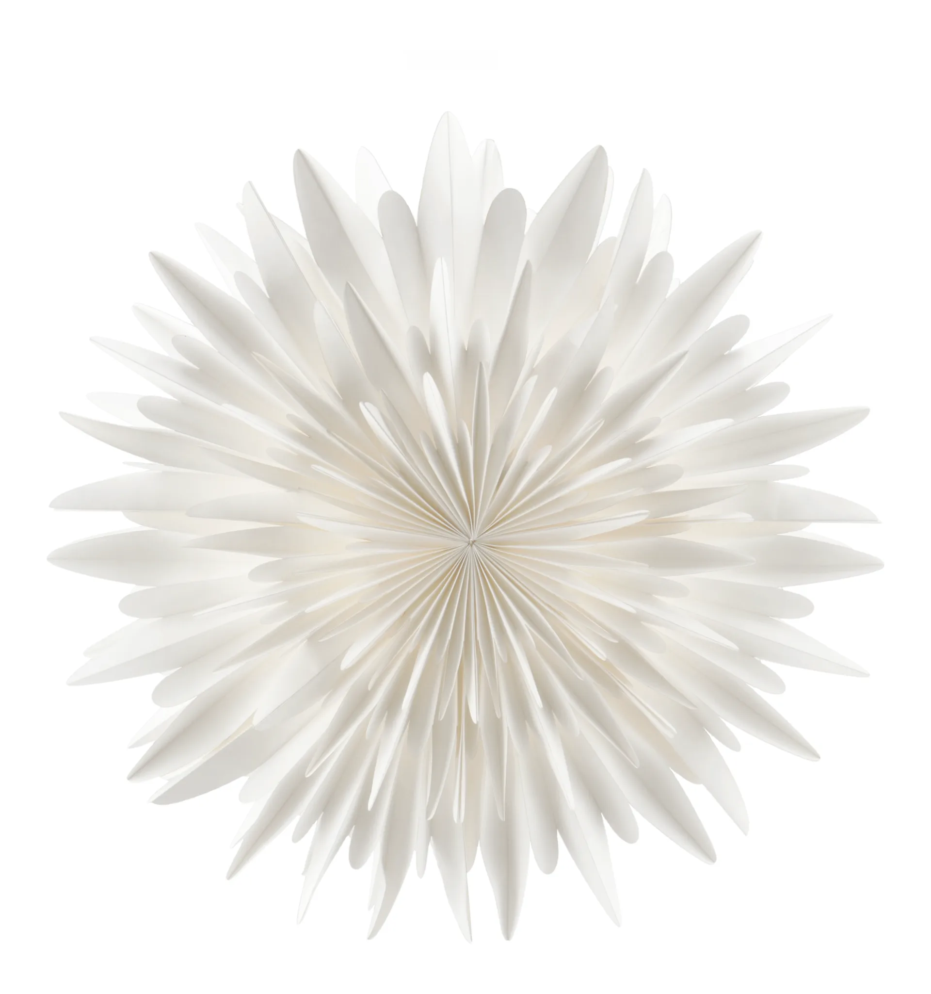 Luna Adventsstern weiß, 60cm Scandi Living