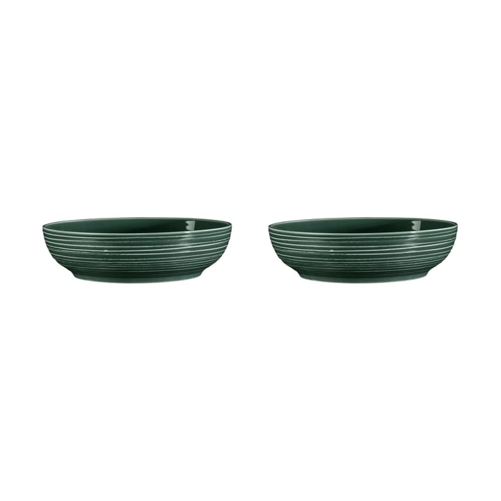 Terra Schale Ø25,5cm 2er Pack - Moss Green - Seltmann Weiden