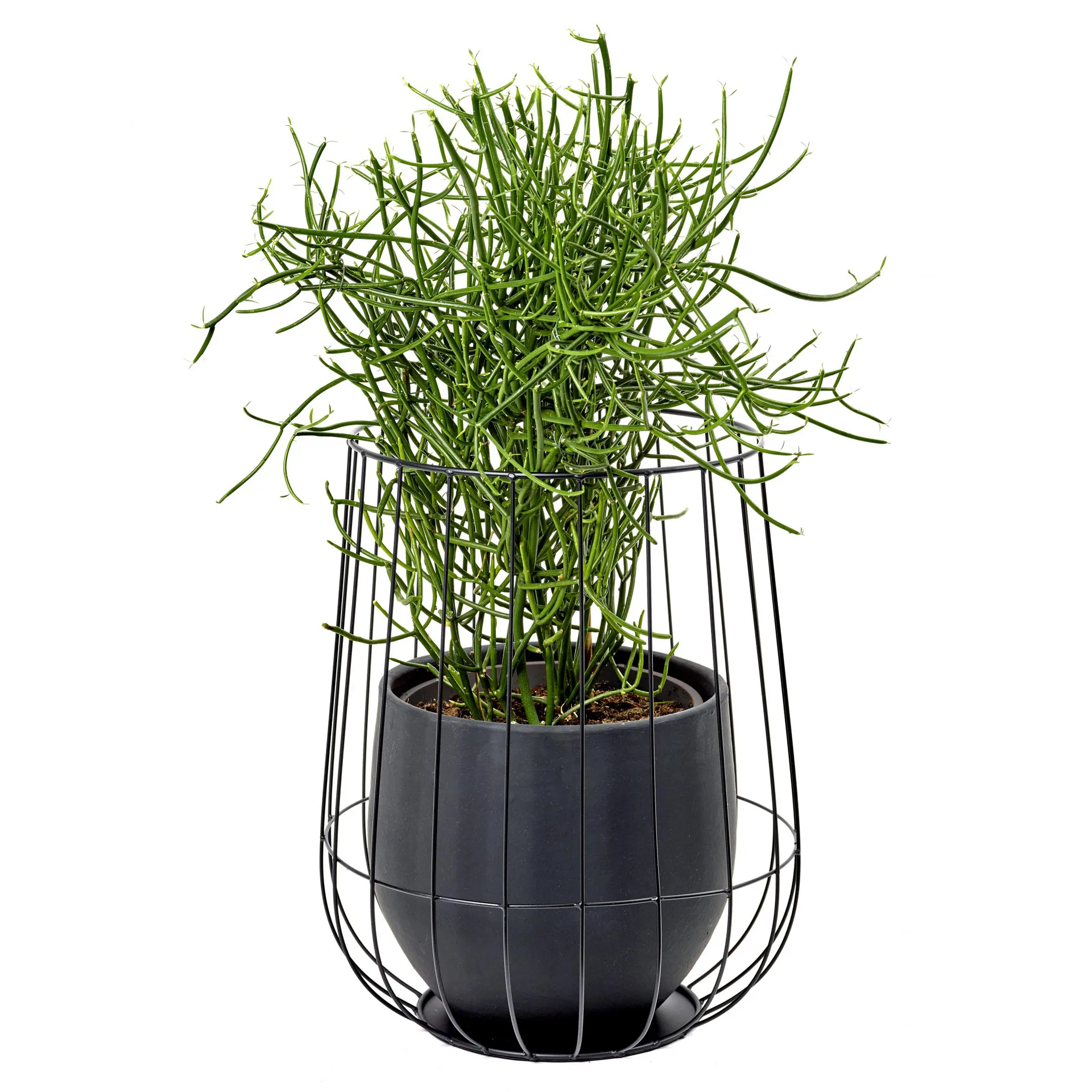 Serax Blumentopf in Korb Ø37 cm h46 cm, Black Serax