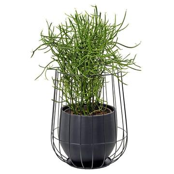 Serax  Blumentopf in Korb Ø37 cm h46 cm - Black - Serax