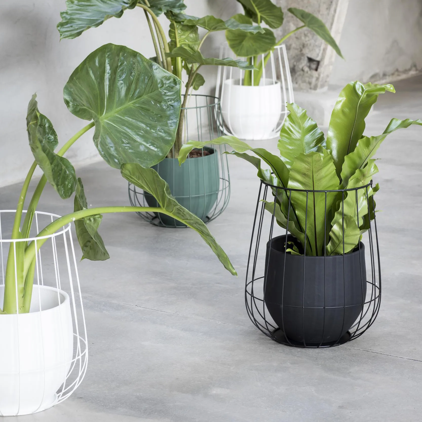 Serax Blumentopf in Korb Ø37 cm h46 cm