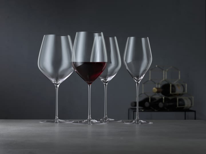 HI-LITE Universal Weinglas 48 cl 2er-Pack, Klar Spiegelau