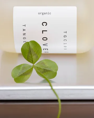 Clover Handseife - 350 ml - Tangent