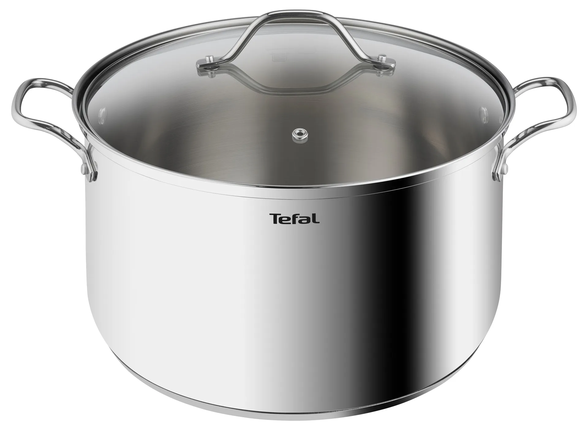 Intuition Topf 30 cm 10 l, Edelstahl Tefal