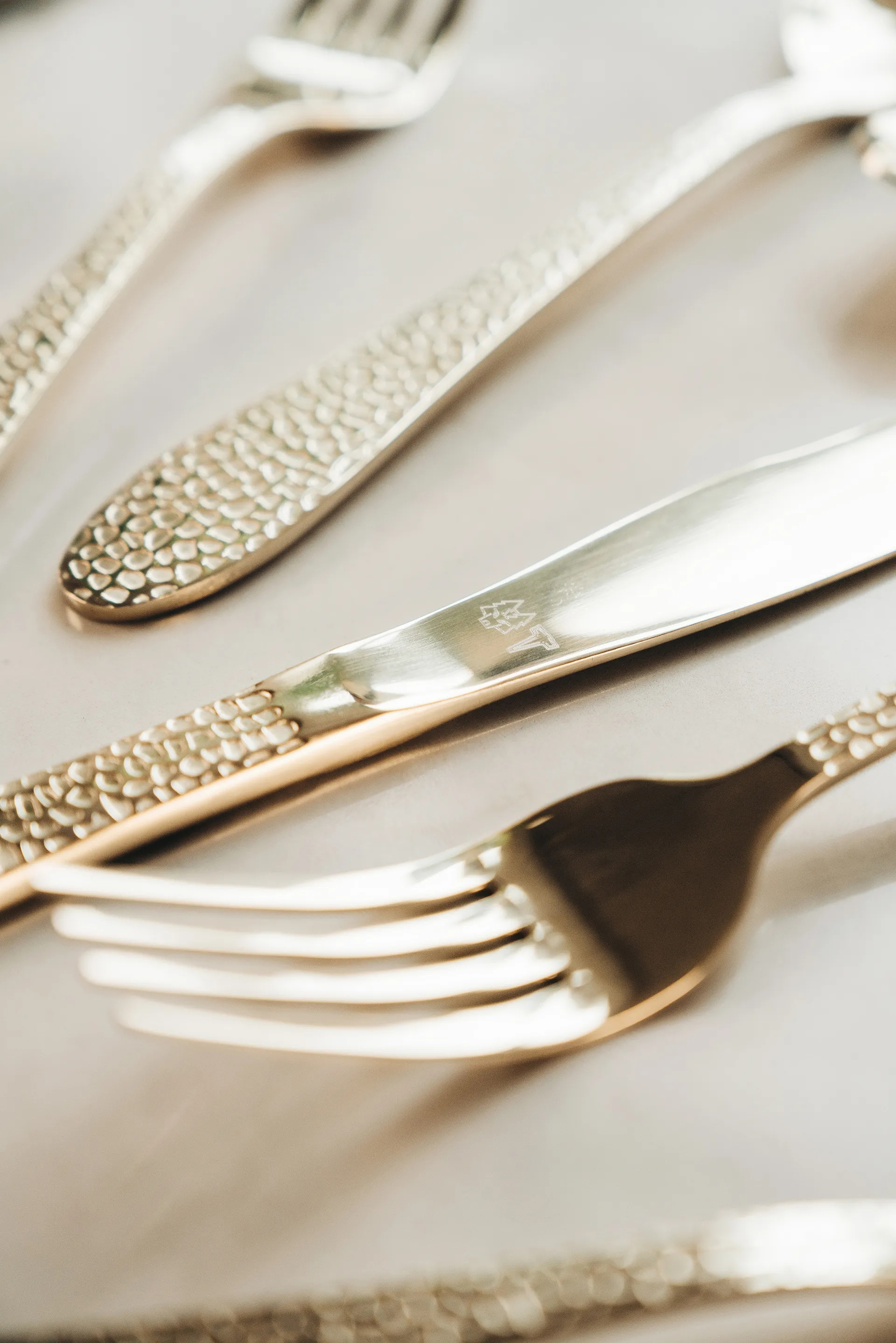 Vargen & Thor Besteckset 16 Teile, Aura, cava Vargen & Thor